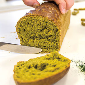 a loaf of algae bread