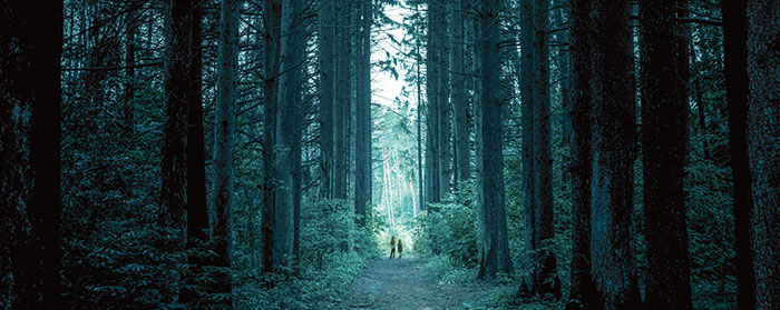 two girls walking along a trail in the woods