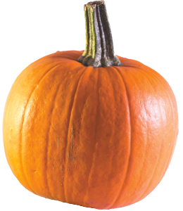 A pumpkin