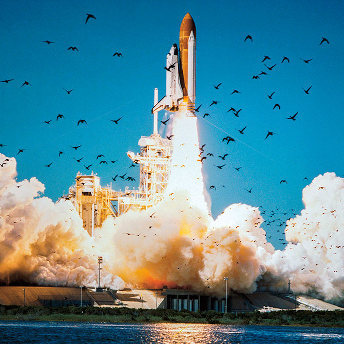 A spacecraft launching into a the sky as flocks of birds fly off in the distance