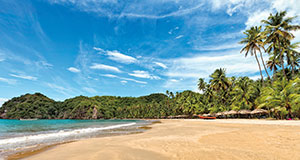 A sandy beach with a tropical trees and plants as the blue ocean water recedes back