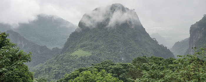 A large mountain covered in trees reaching into the cloudy skies