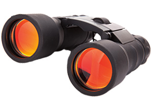 Image of a pair of binoculars