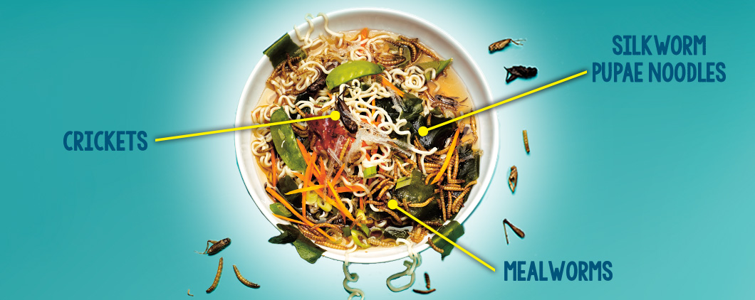 Image of a bowl of "food" filled with crickets, silkworm pupae noodles, and mealworms