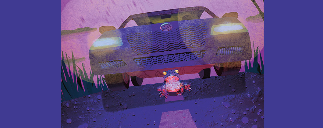 Illustration of frog in middle of road with car coming