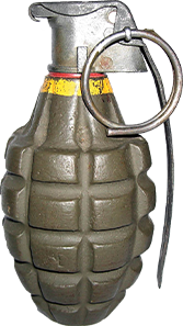 Image of a grenade