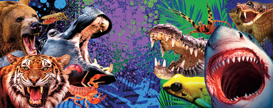Image of a variety of animals such as tigers, bears, and sharks