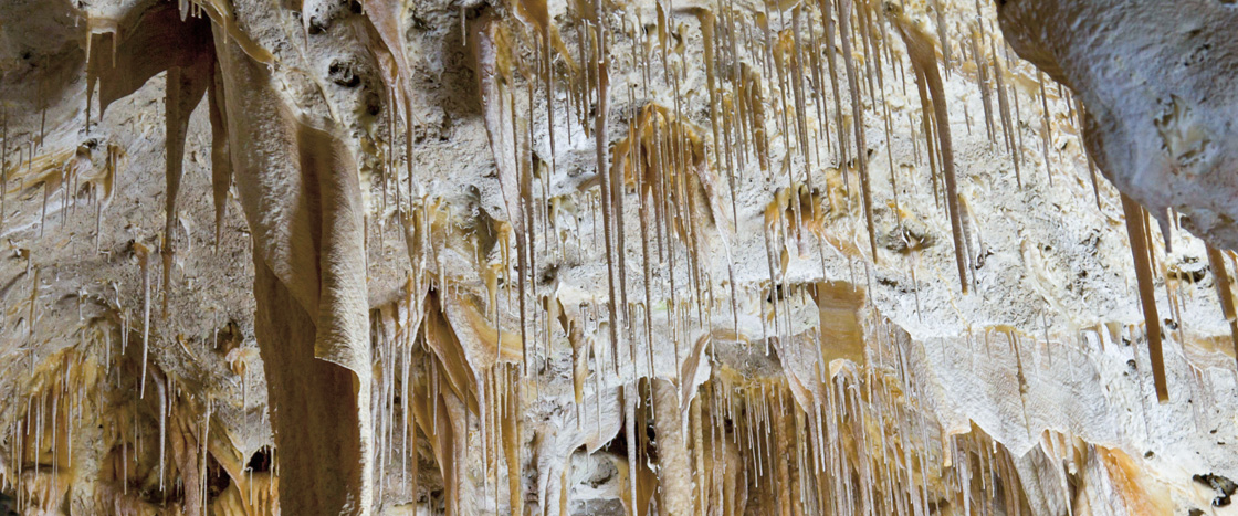 brown strands of goo hanging down from a cave