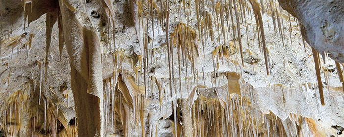 brown strands of goo hanging down from a cave