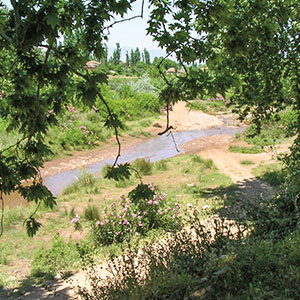a river with trees around it