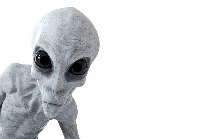 A gray alien with big black eyes looking at you with curiosity 
