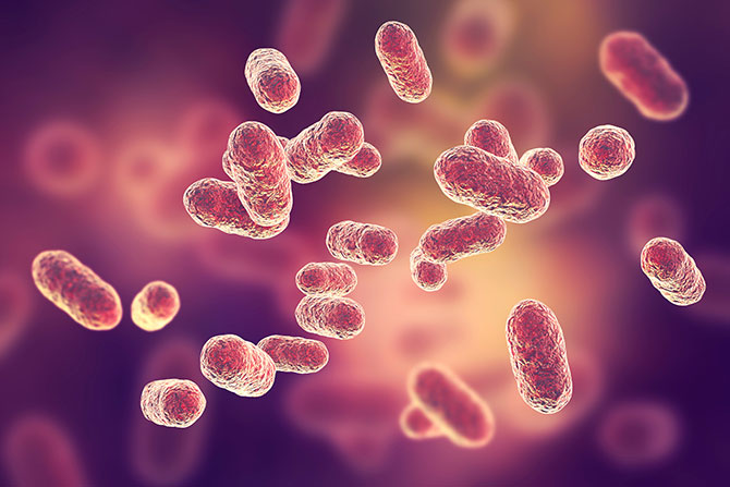Small oval organisms floating